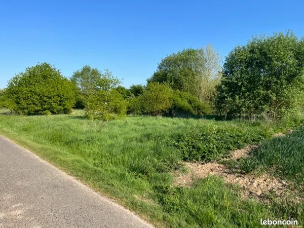 Loue terrain herbage 5000m2