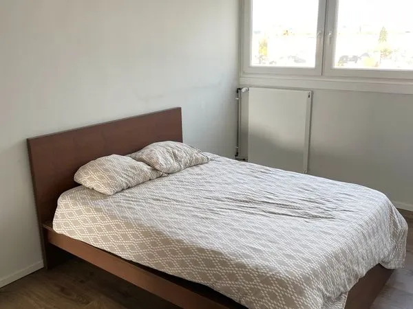 Chambre dans grand appartement