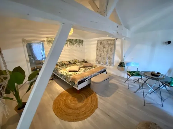 2 Appartements duplex T3 de 71M2 et 55M2 totalement rénovés (dont un avec terrasse) à vendre centre 