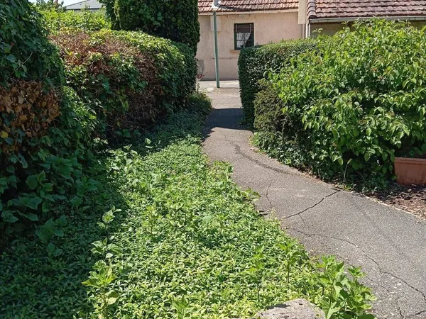 Terrain 351 m²