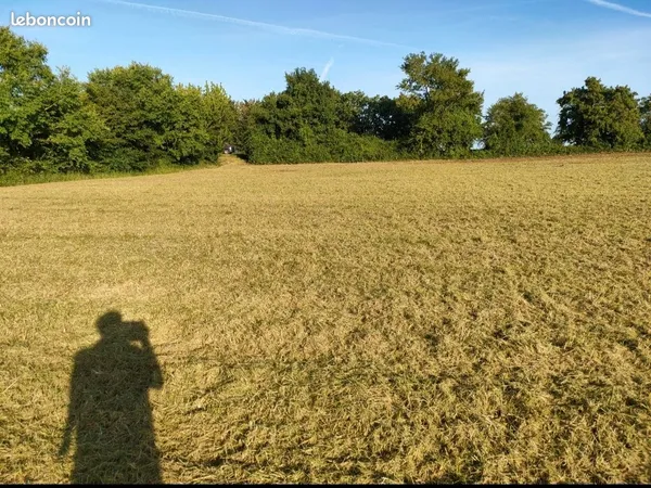Terrain à vendre