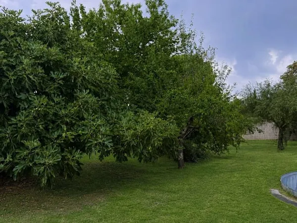 Terrain 700 m²