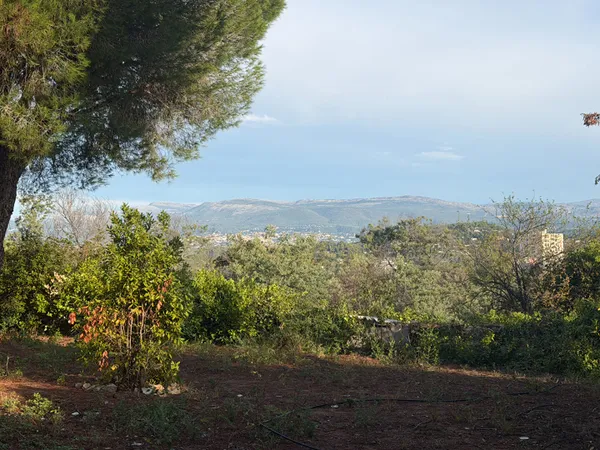 Maison 74 pièces 75 m²