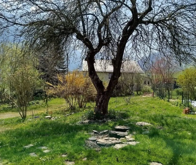 Photo 22