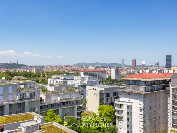 Toit terrasse avec vue