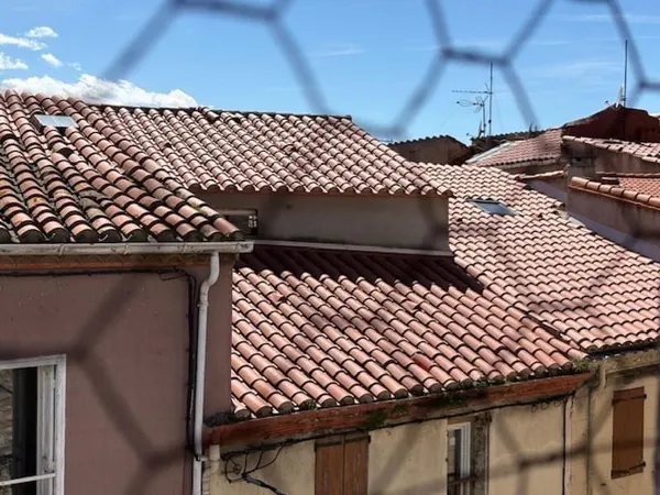 Maison avec commerce
