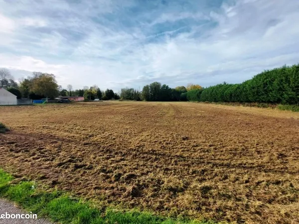 Terrain constructible