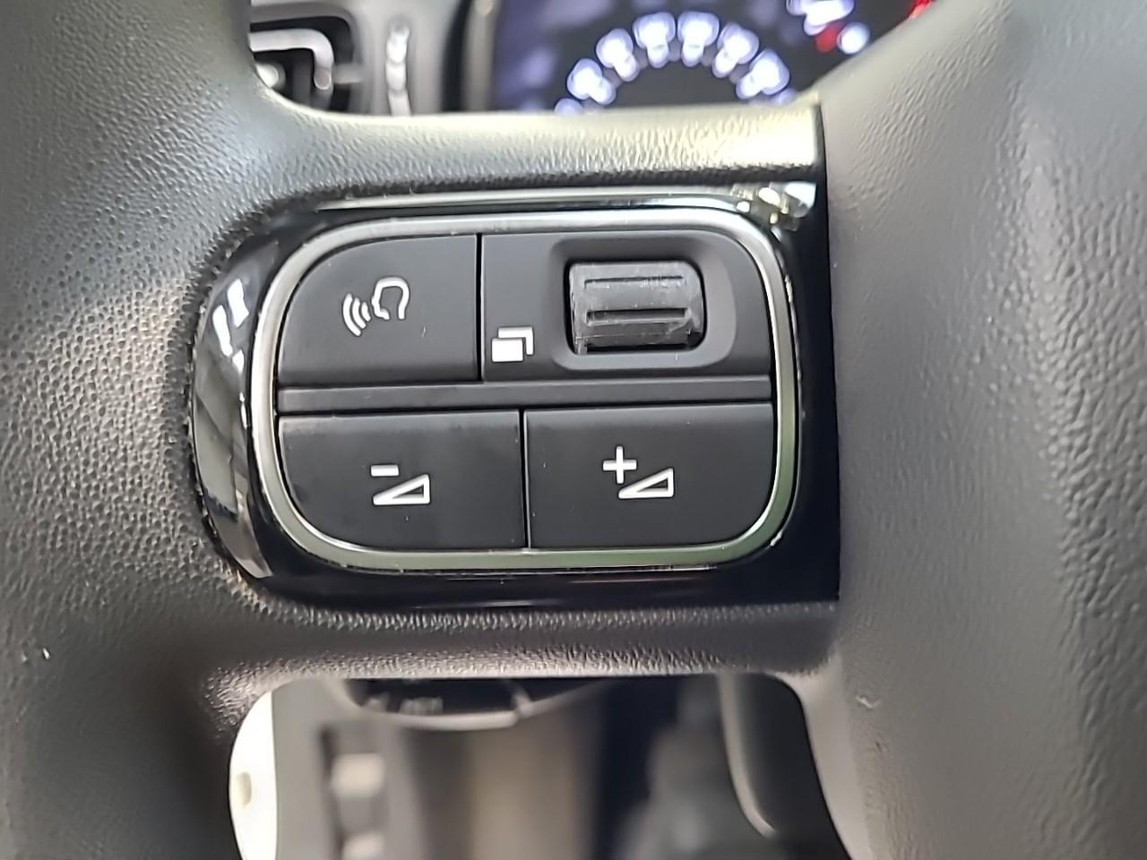 Citroën C3 societe bluehdi 100 s&s bvm6 feel — photo 19