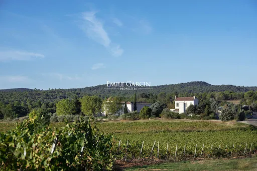 Vignoble 1222705 m²