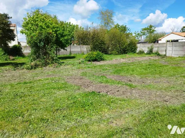 Terrain 555 m²