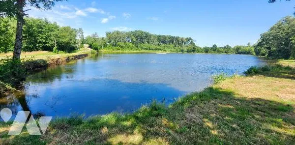 Terrain 36160 m²
