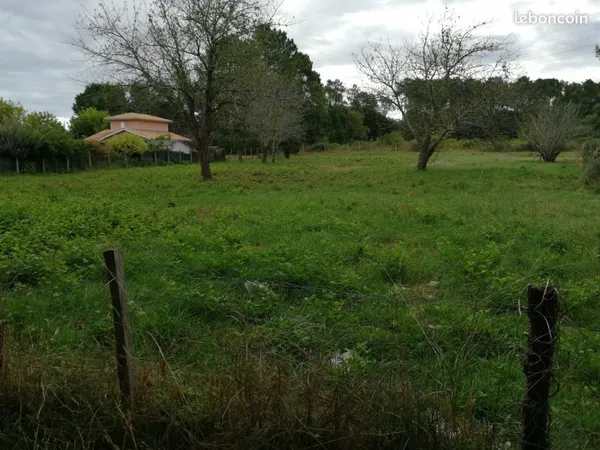 Terrain à bâtir