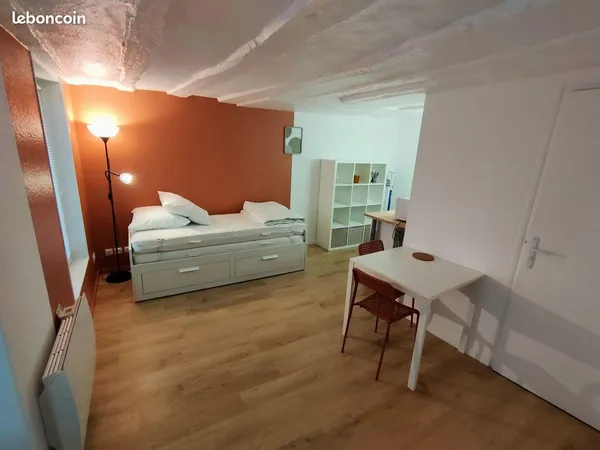 Studio meublé rénové 21m2 hypercentre