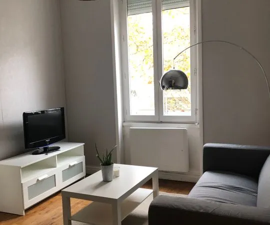 Appartement de 46m2 à louer sur Lyon 08