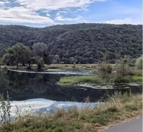 Terrain en bordure du Doubs à roche lez Beaupres