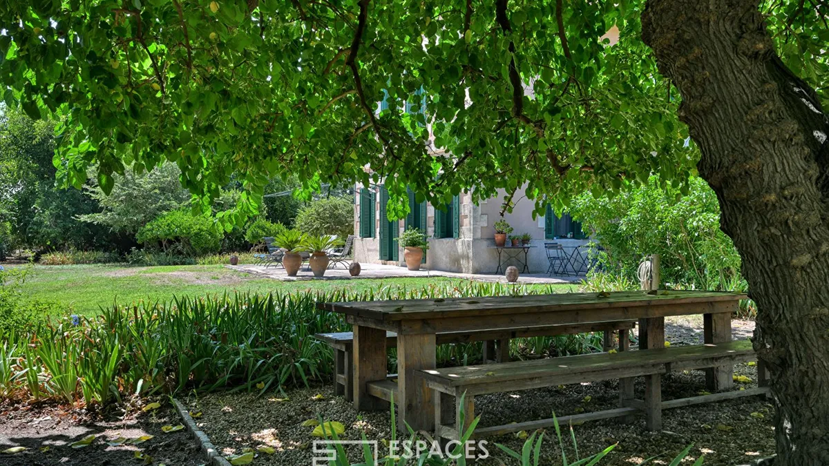 Photo 8