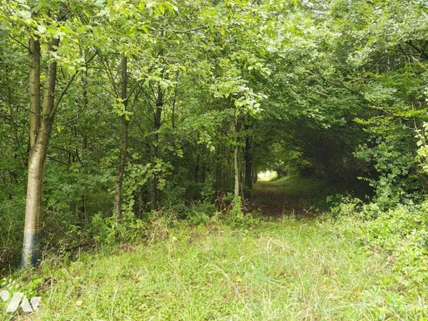 Terrain 9605 m²