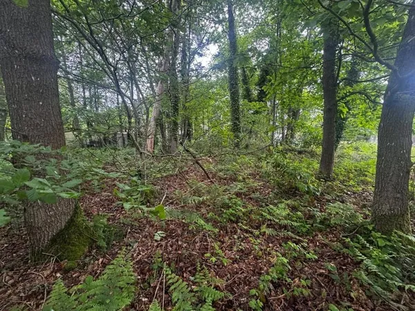 Terrain 537 m²
