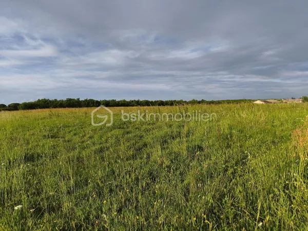 Terrain 6000 m²