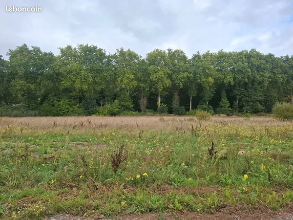 Terrain 632 m² MONTFORT SUR RISLE