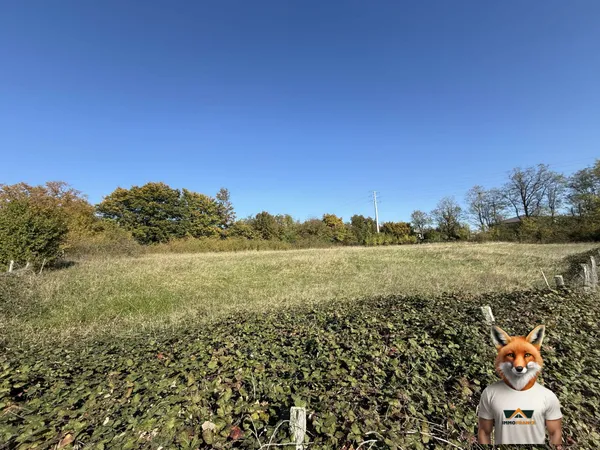 À vendre : Beau grand terrain à Saint-Vite _ 52,17 ares