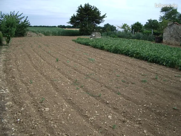 Terrain 800m2 Thiré