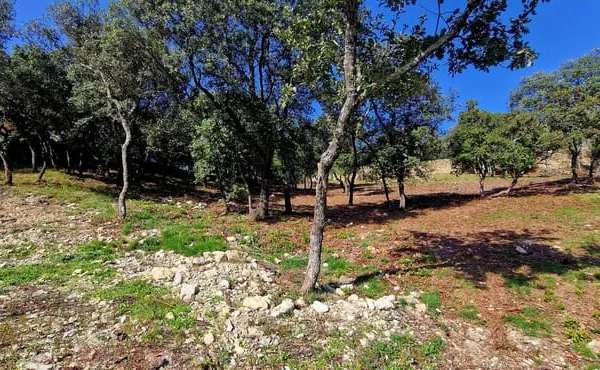 Terrain Rochegude 1502 m2