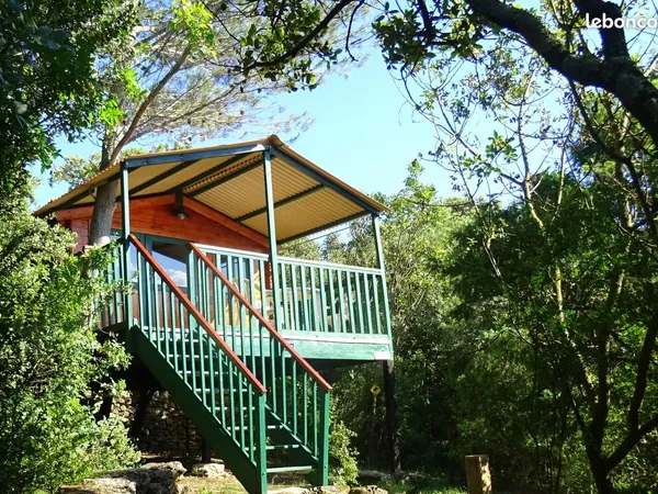 Cabane habitable dans les arbres
