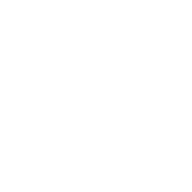 Lobo Sagaz Studio