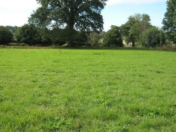 Terrain 602 m²