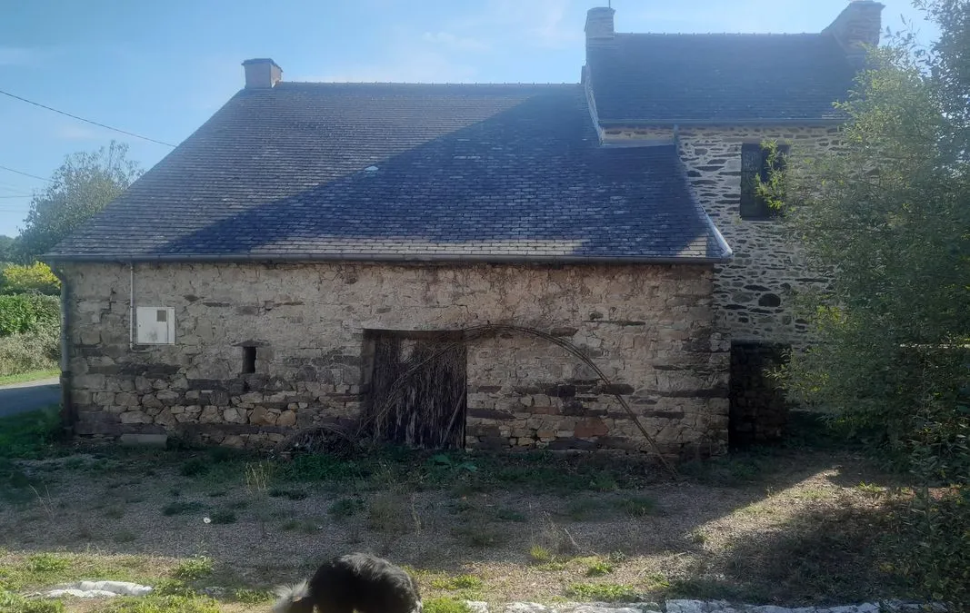 Photo 3