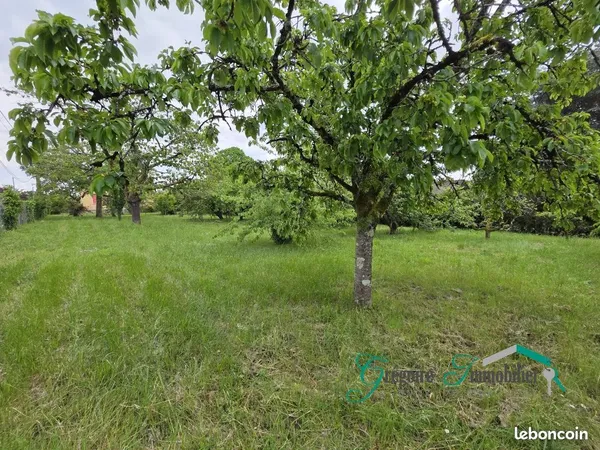 Terrain 732 m² Montigny-sur-Loing