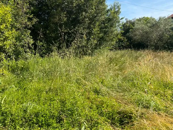 Terrain 500 m2 constructible