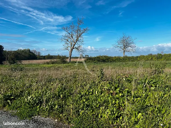 Terrain 563 m² LOIRE LES MARAIS