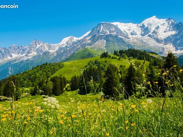 Terrain 831 m² Les Cluses