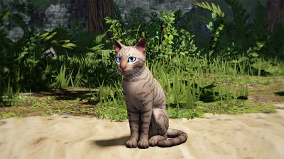 Warrior Cats