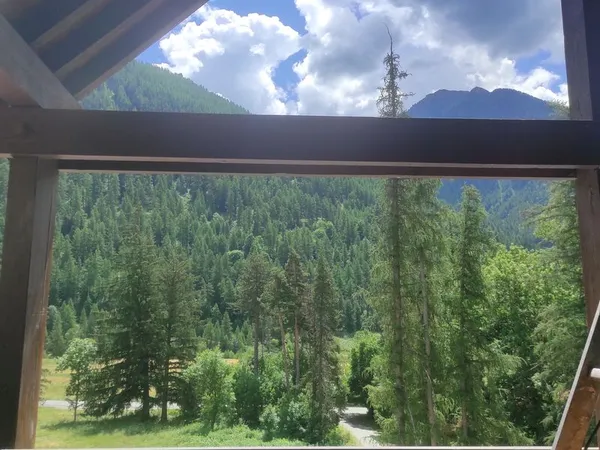 à louer à l'année - duplex à aiguilles