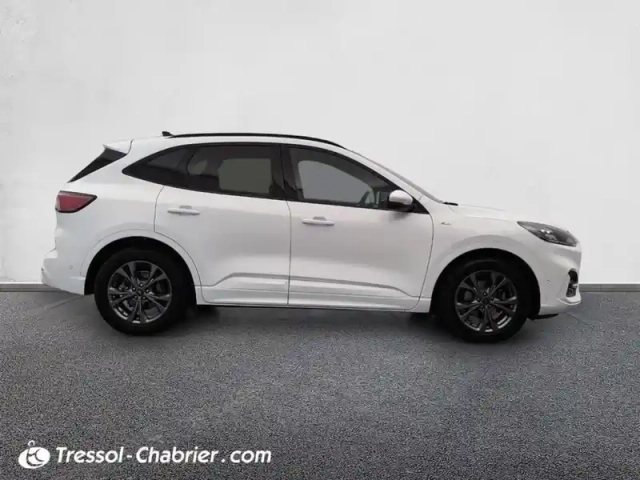 Ford Kuga 2.0 ecoblue 150 mhev bvm6 st-line — photo 6