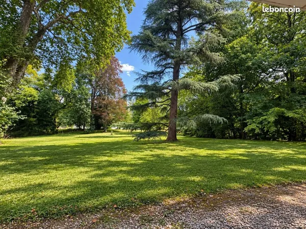 Studio 1 pièce 20 m²