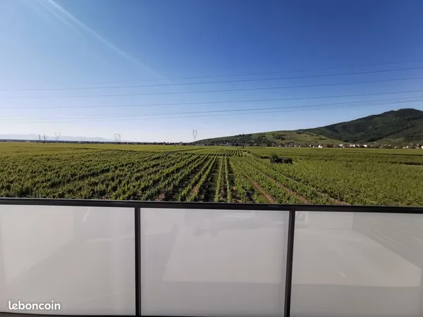 Bien rare au coeur du vignoble à Turckheim 🍇