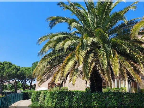 Duplex 52m2 tout confort