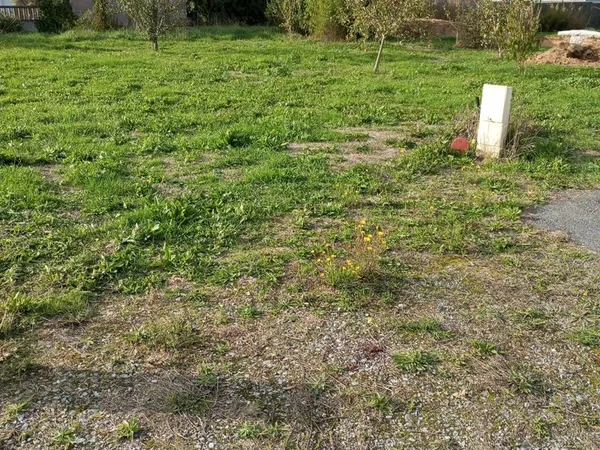 Terrain en lotissement 370m2 centre l'immaculée