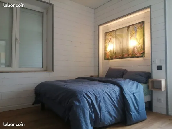 Location/Colocation-Appartement-3pièces/2chambres-Centre ville