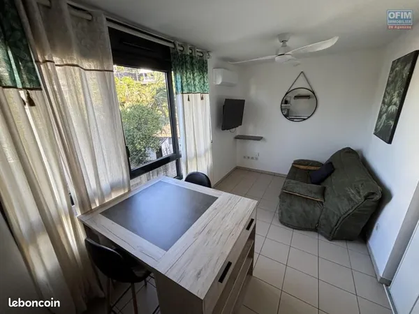 Appartement 1 pièce 24 m²