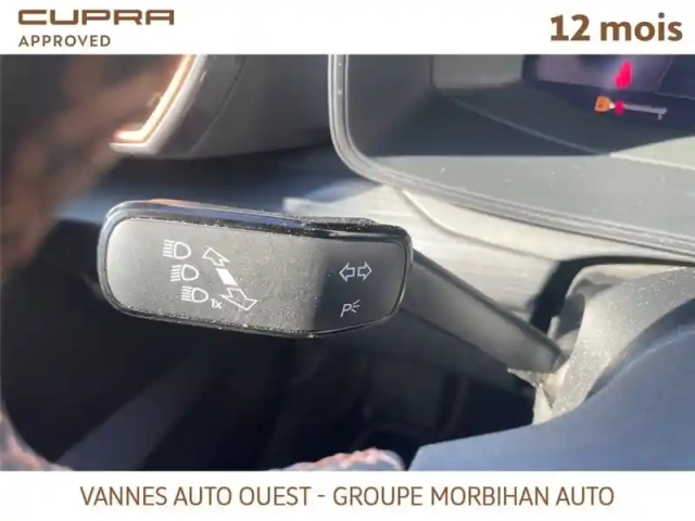 Cupra Formentor 1.5 tsi 150 ch — photo 159