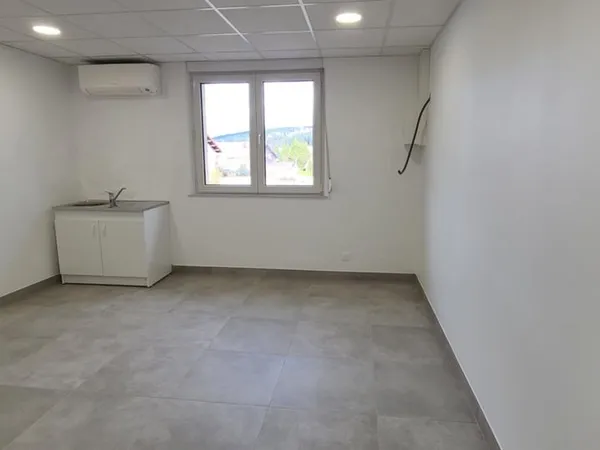 Local professionnel