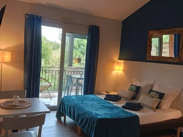 ARLES - T2 MEUBLÉ 26 m² - TERRASSE + PISCINE + PARKING - 580 CC