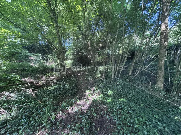 Terrain 689 m²