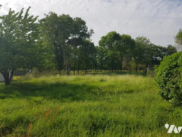 Terrain 1001 m²