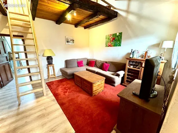 Appartement de montagne 38 m2 avec jardin